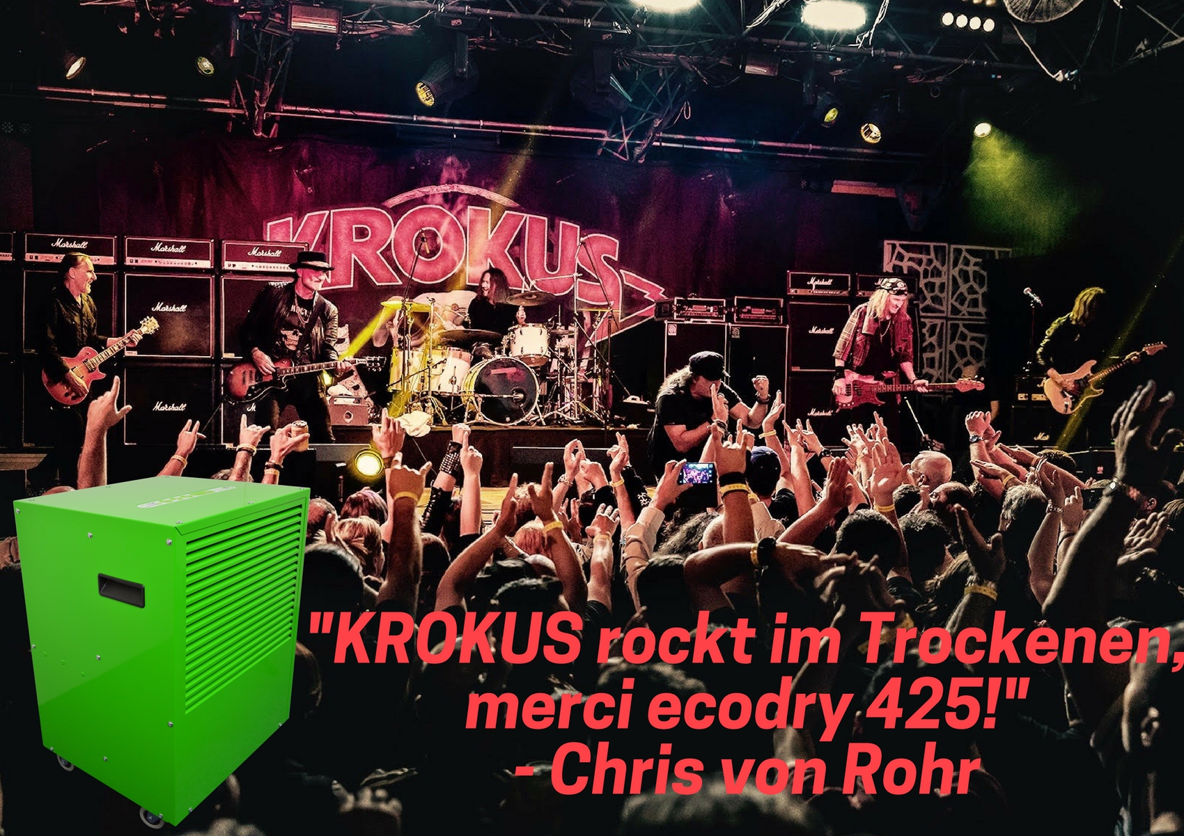 Krokus rockt im Trockenen